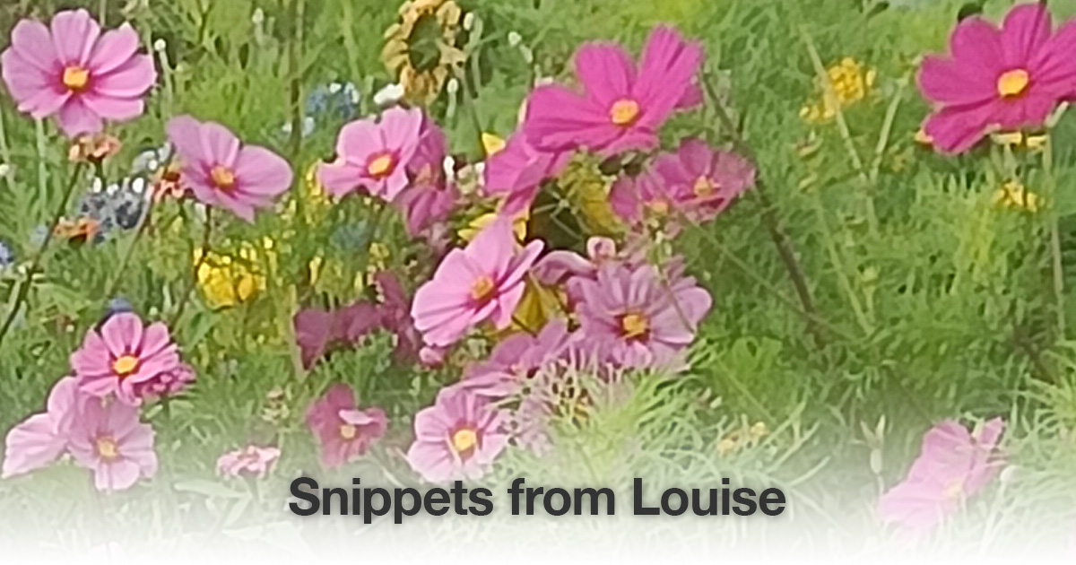 Pink flowers snippet Louise Tuijt