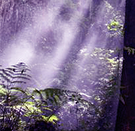 Spirituele Coaching