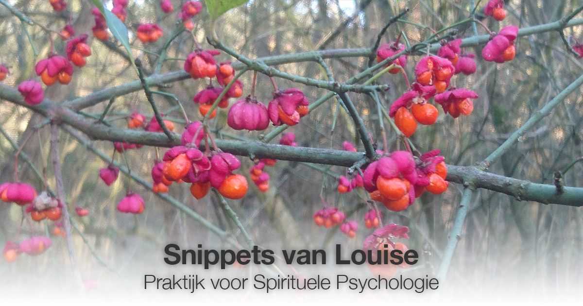 Snippets Louise Tuijt
