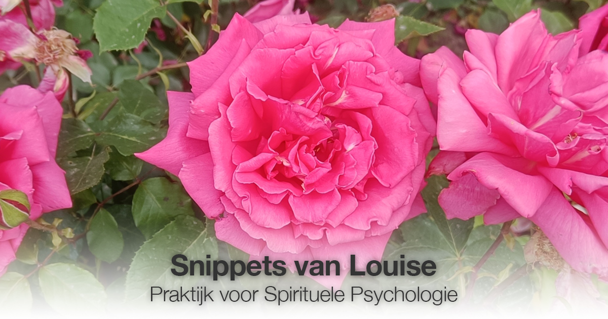 Roos snippet Louise Tuijt