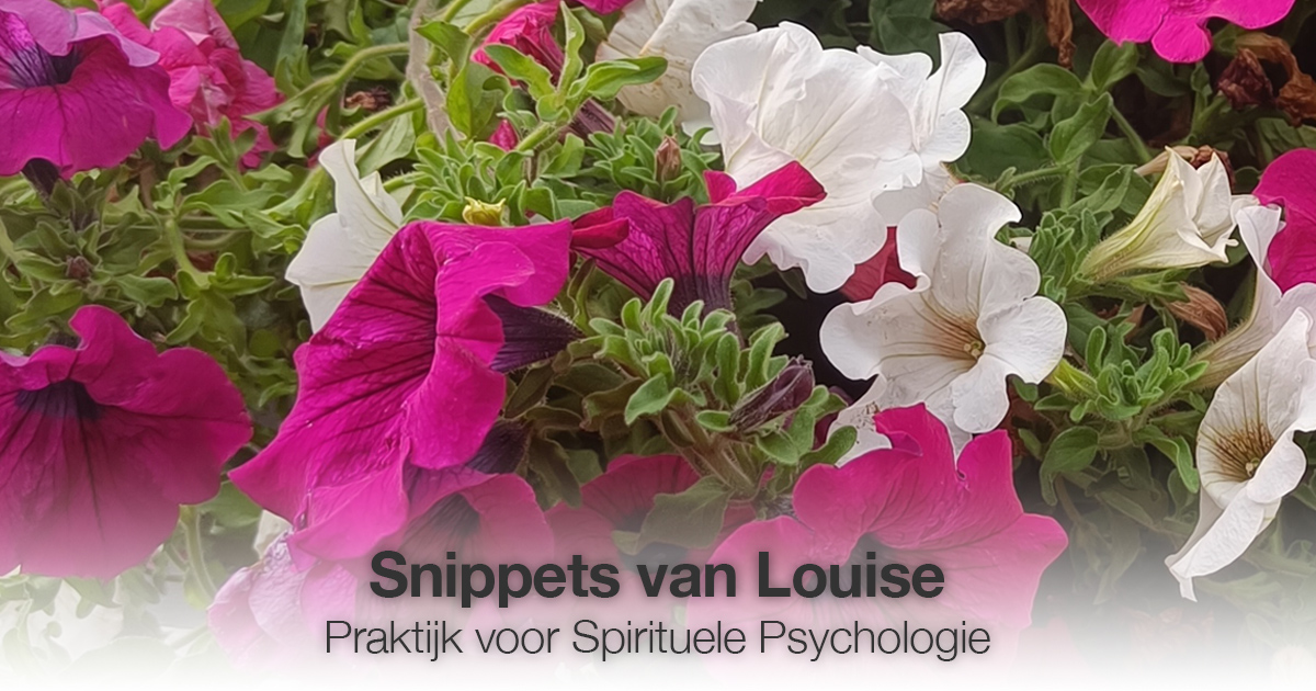 Roze en witte bloemen Louise Tuijt