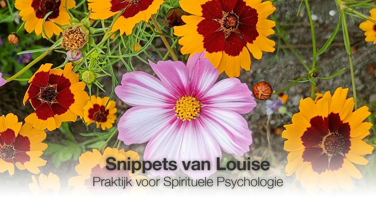 Bloemen Louise Tuijt