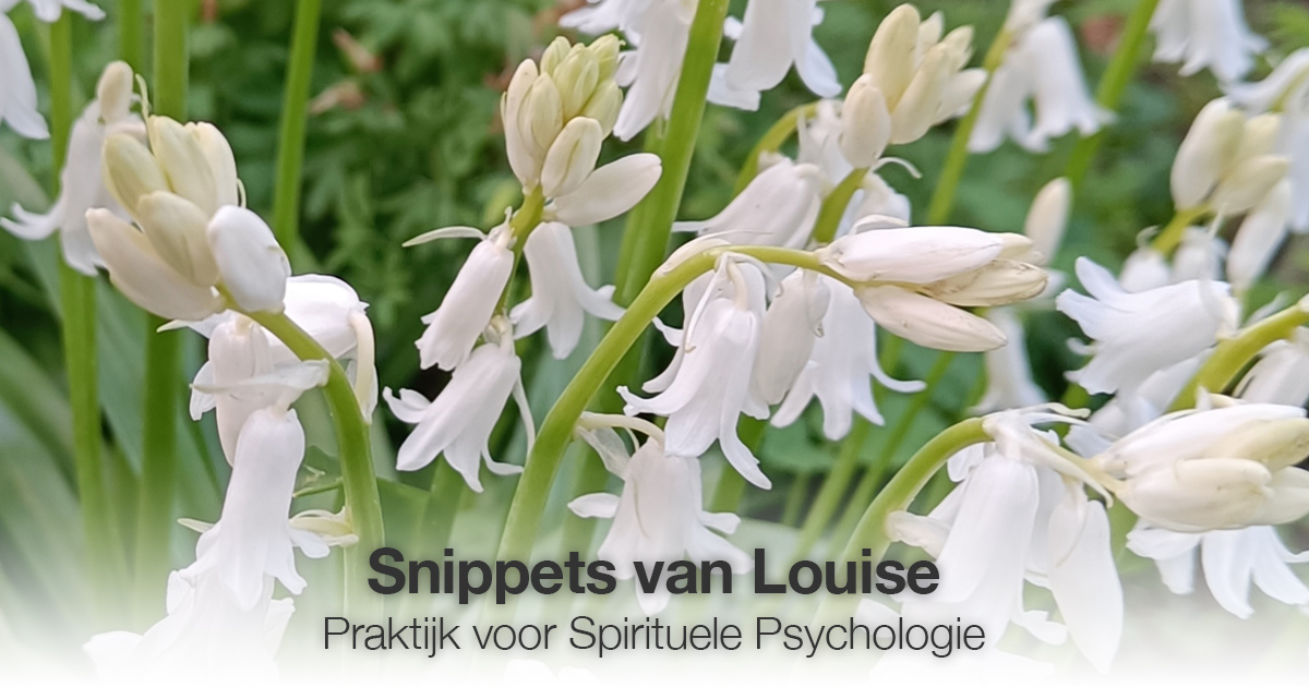 Witte bloemen Louise Tuijt