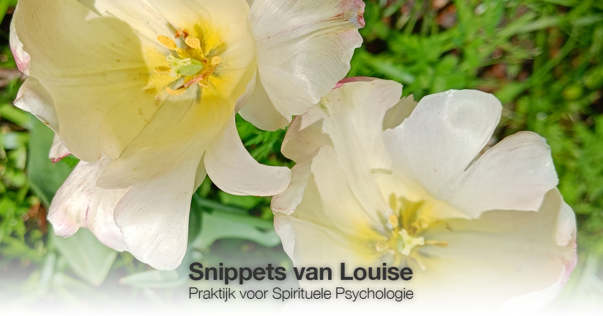 Gele bloemen Louise Tuijt