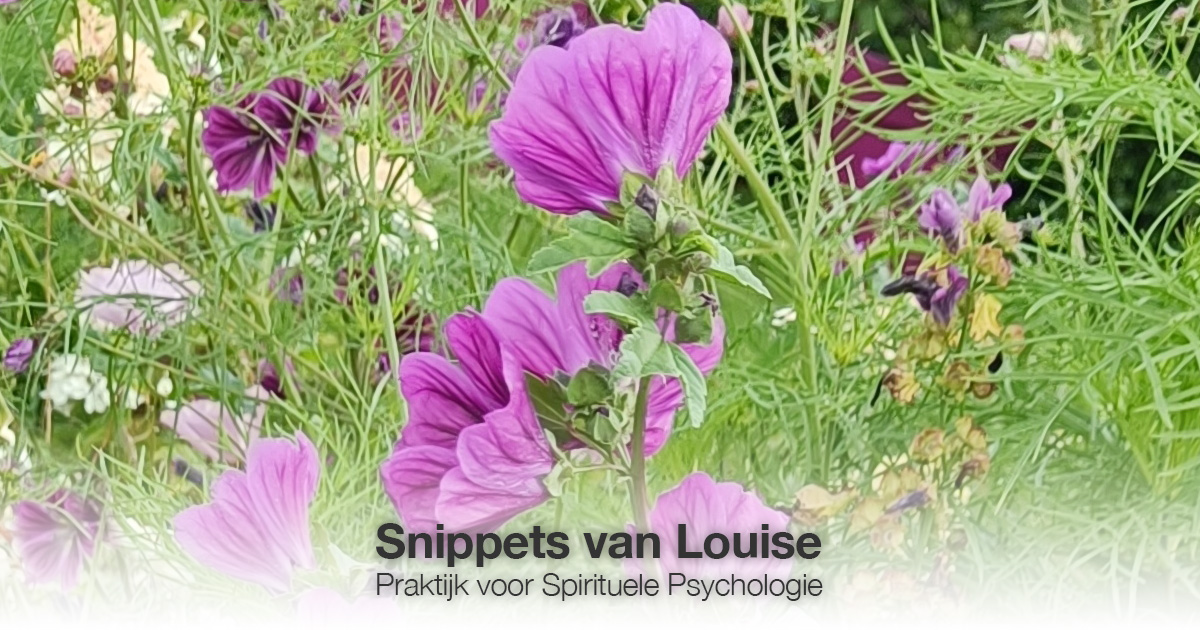 Paarse bloemen Louise Tuijt