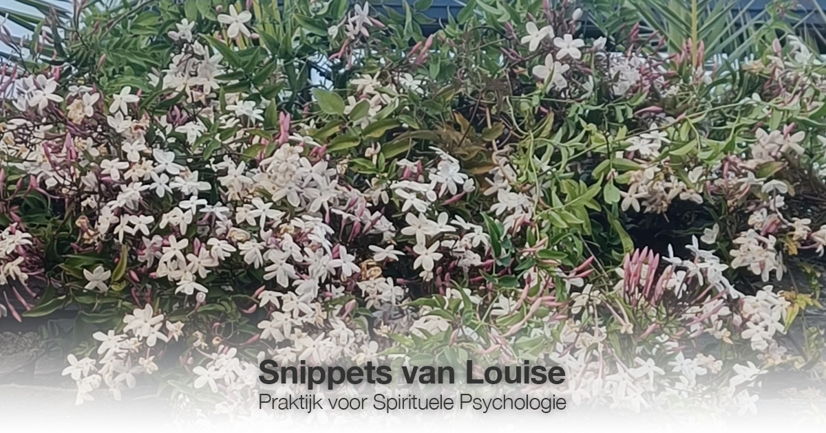Witte bloemen Louise Tuijt