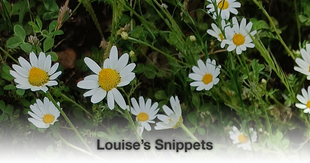 Witte bloemen Louise Tuijt