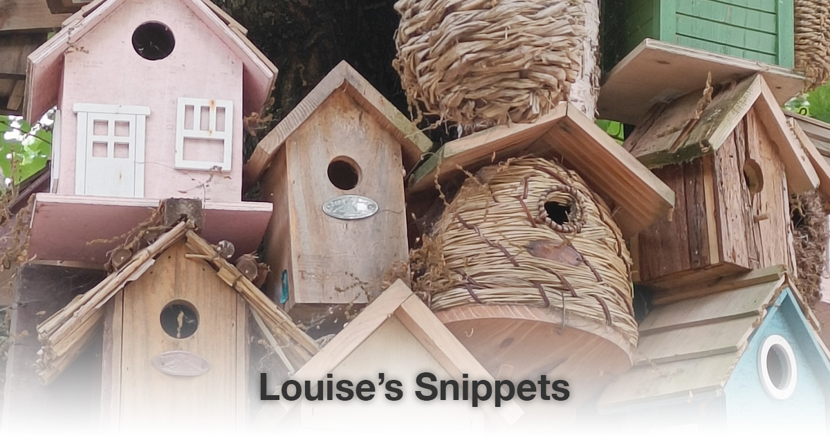 Houte vogelhuisjes Louise Tuijt