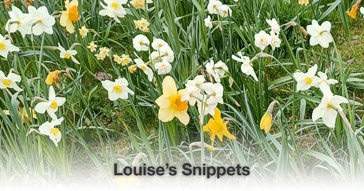 Narcissen Louise Tuijt