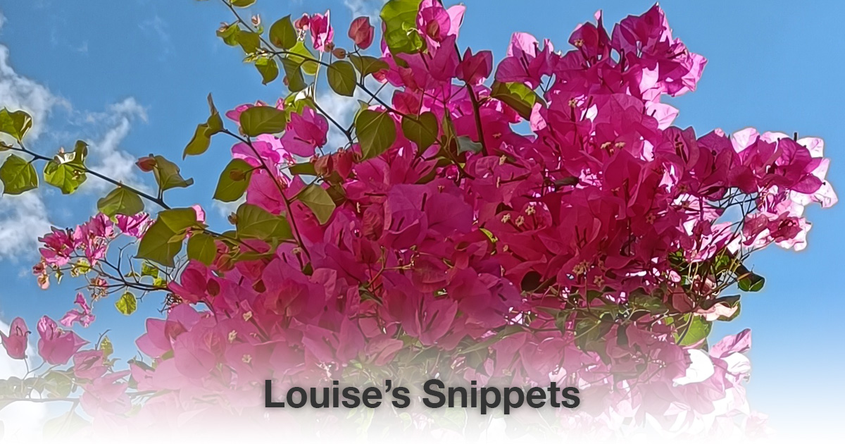 Roze bloemen Louise Tuijt