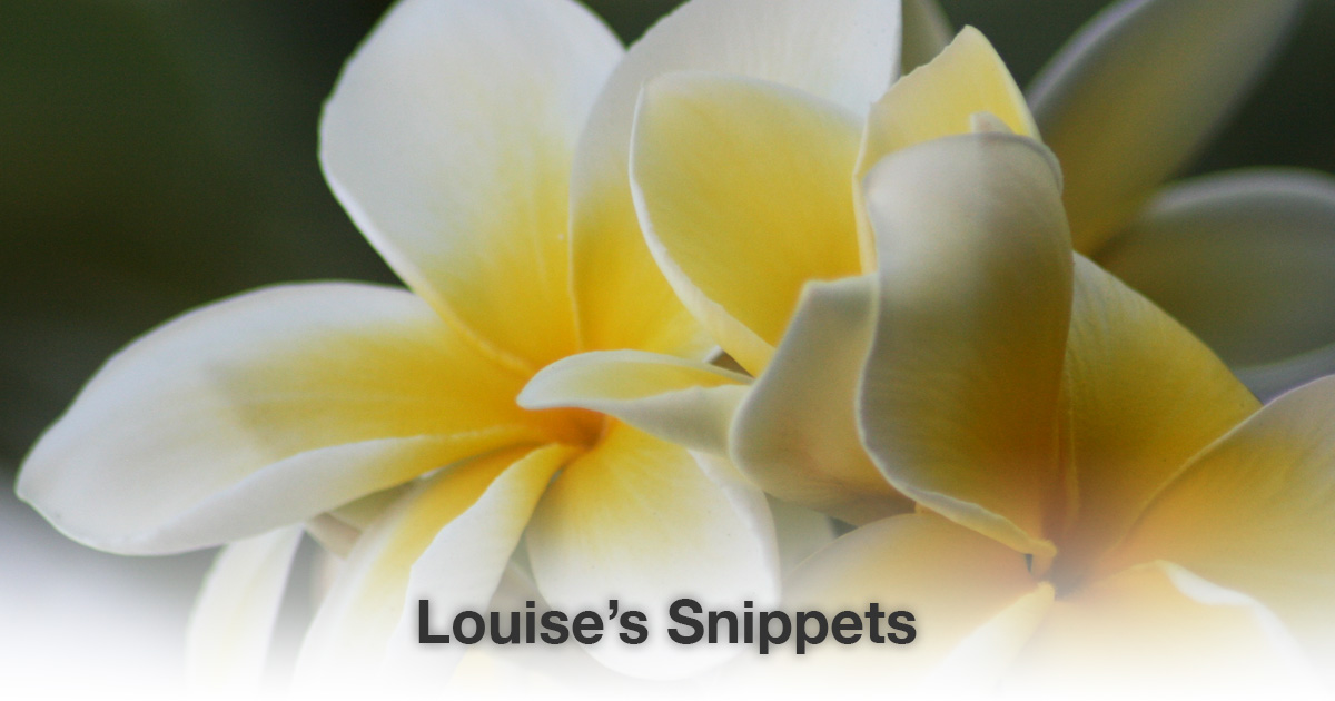 Wit gele bloem Louise Tuijt