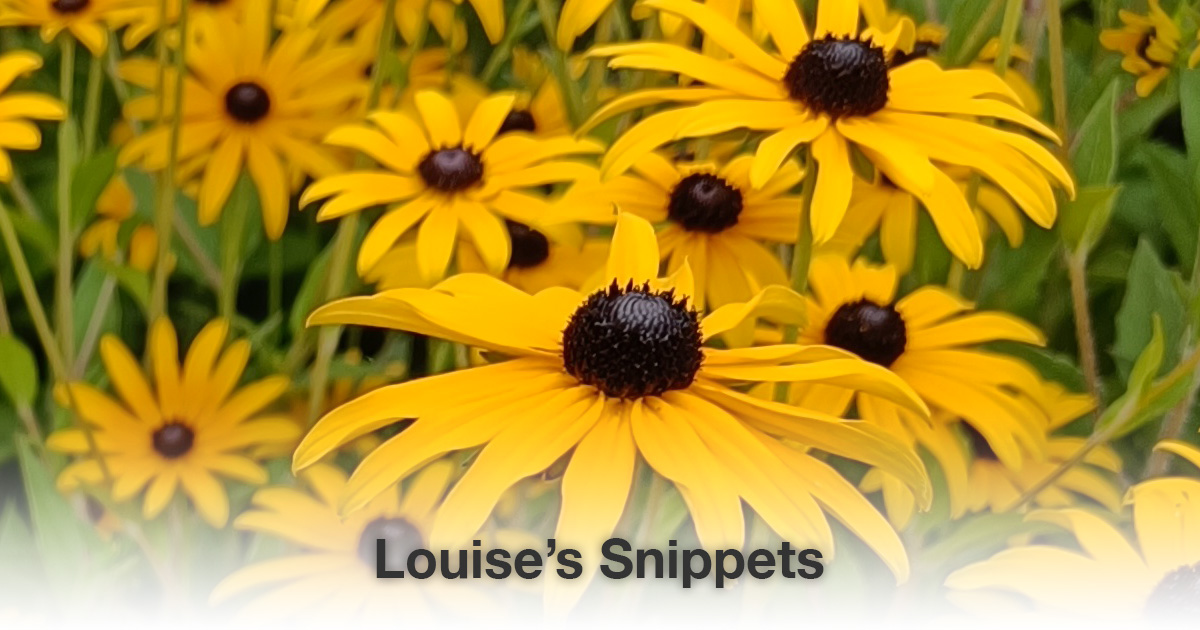 Gele bloemen Louise Tuijt