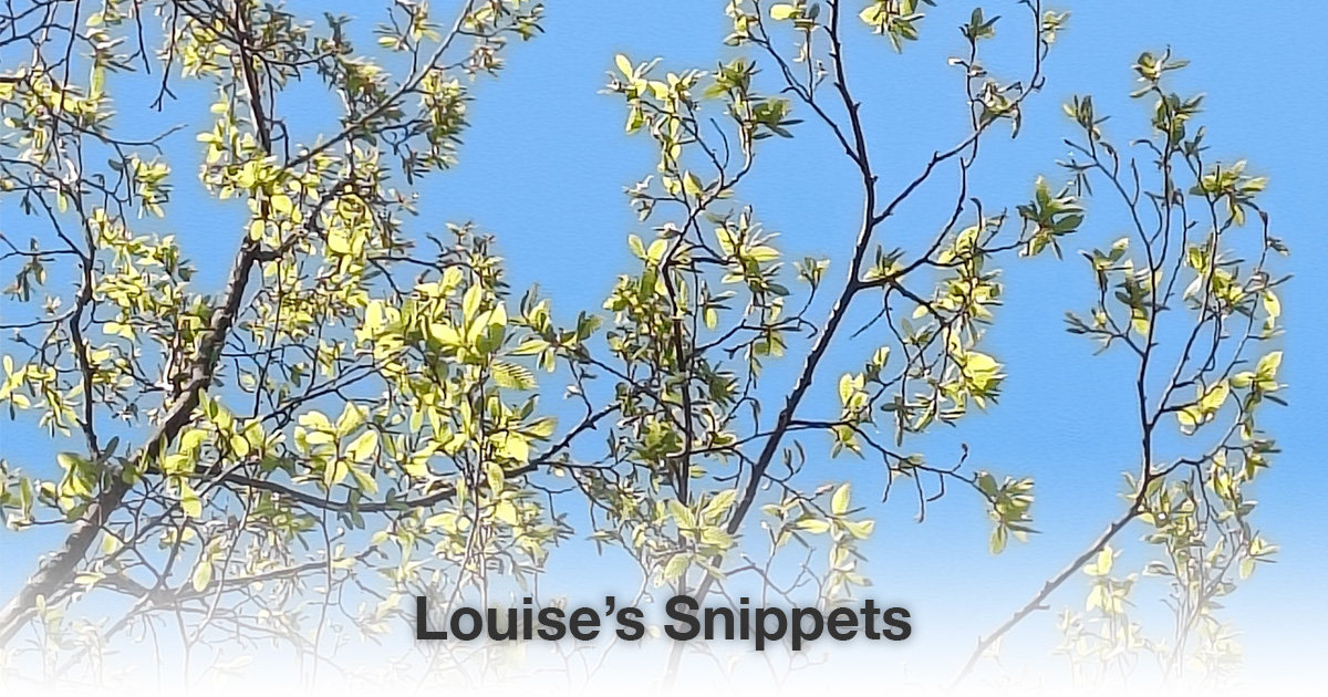 Takken Louise Tuijt