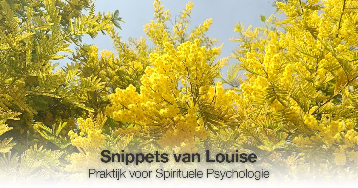 boom met  gele bloemen Louise Tuijt