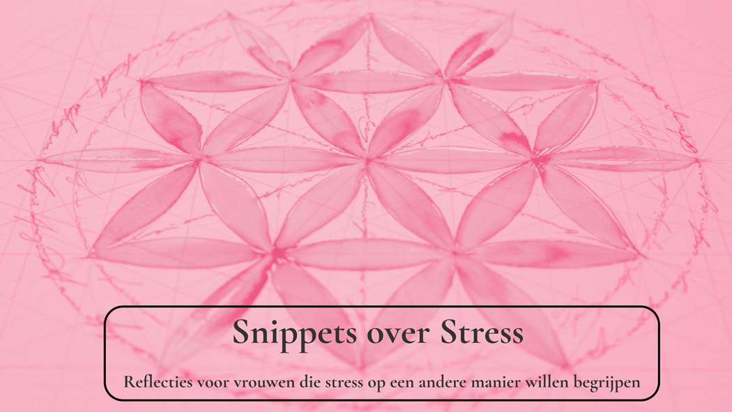 Snippet stress Hoog functionerende stress symptomen Louise Tuijt